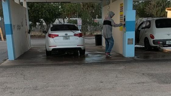 Salty Dog Car Wash - Big Tree