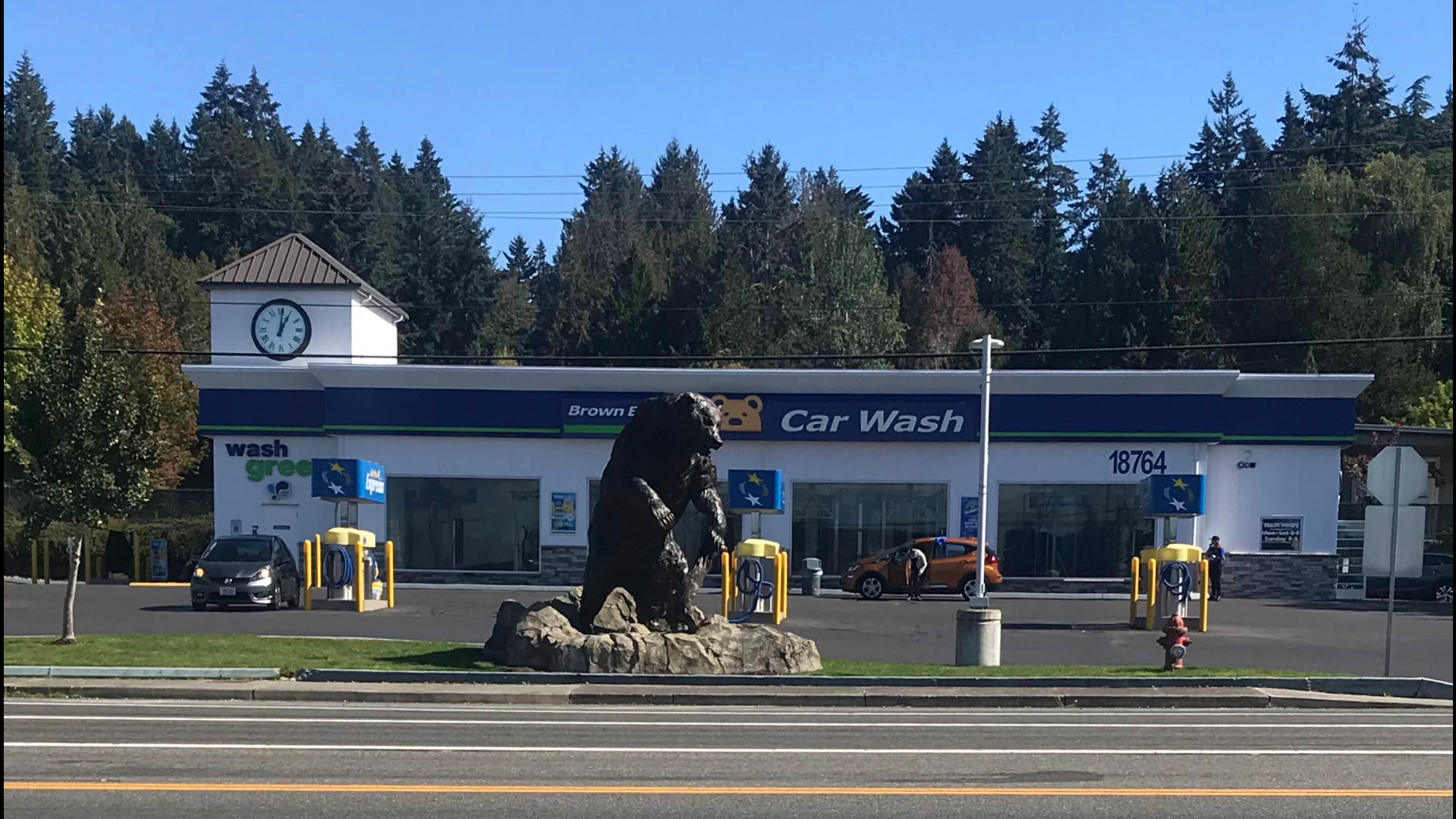 Brown Bear Car Wash