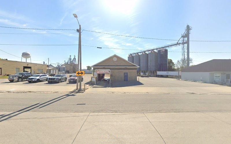 Saints Avenue Brushless Auto Wash