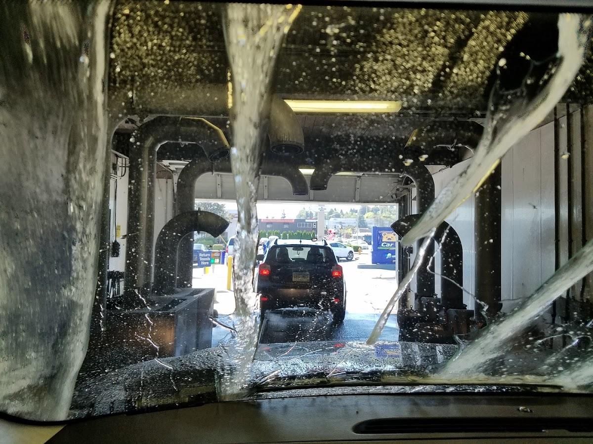 Brown Bear Car Wash